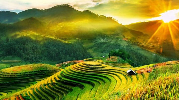 Vietnam Tours